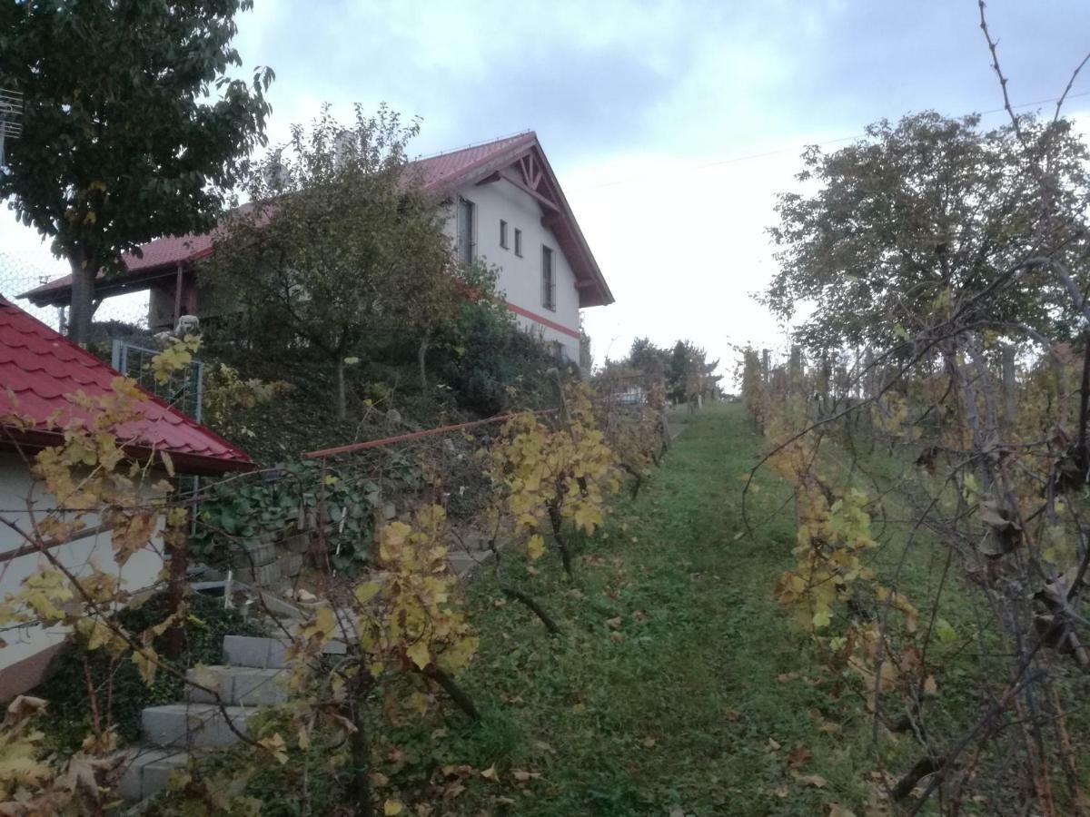 Penzion Nad Jezerem พาฟลอฟ ภายนอก รูปภาพ